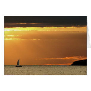 Zeilboot