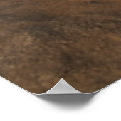 Zeilboot en -schaal | Mozambique, Benguerra Lodge Poster (Hoek)