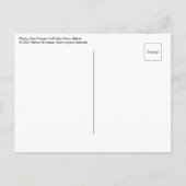 Zeilboot in Belize Briefkaart (Achterkant)