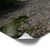 Zeilboot in de buurt van St. Thomas Perfect Poster (Hoek)