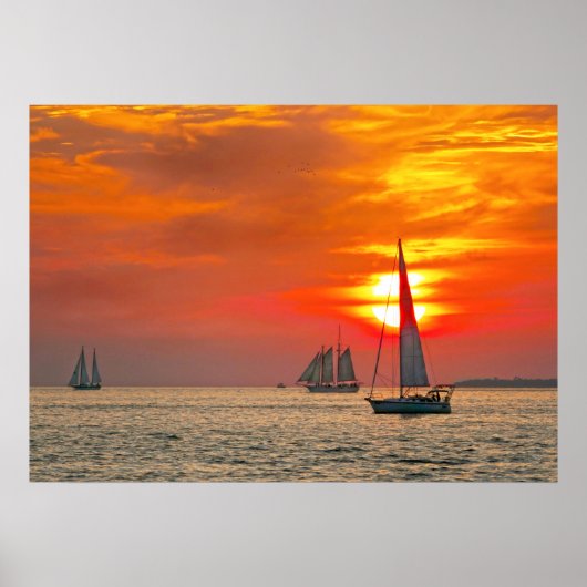 Zeilboten bij Key West Sunset Poster (Voorkant)