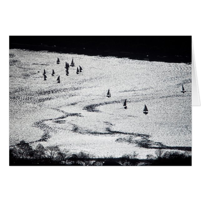 Zeilboten in silhouette, Charles River Basin, Card (Voorkant Horizontaal)