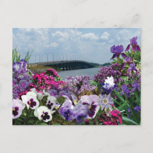 Zeilbrug en bloemen 15r1 briefkaart