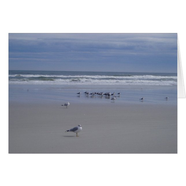 Zeilen bij de parade (Voorkant Horizontaal)