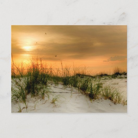 Zeilen bij zonsopgang briefkaart (Voorkant)