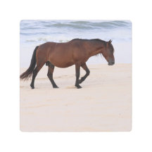 Zeilen op het strand, Outer Banks North Carolina