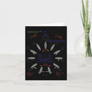 Zeilpunten van Sail Boating Anchor Sailboat Sai Kaart