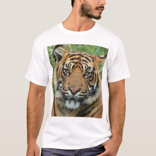 Zeker! Voor een online winkel die T-shirts verkoop