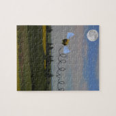 Zelda le puzzle d'abeille (Horizontal)