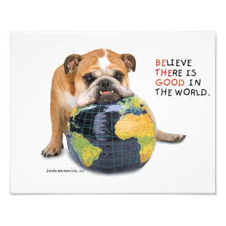 Zelda's Poster Goed in de wereld