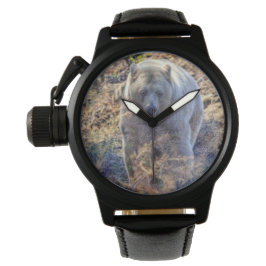 Zelden Beer Kermode (Spirit Beer) Wildlife Foto Horloge