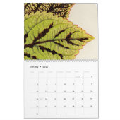 Zelden Botanische  Leaf Illustratie Kalender (Jan 2027)