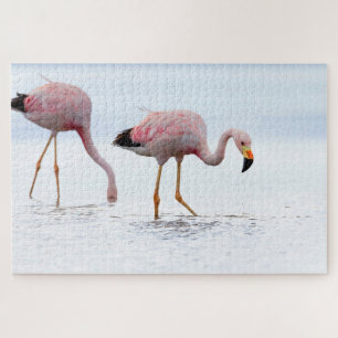 Zelden mooie Andean Flamingo Pink Bird Chili Legpuzzel