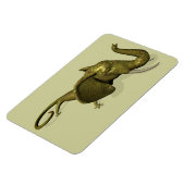 Zelden Seen Geckophant Magneet (Linkerzijde)