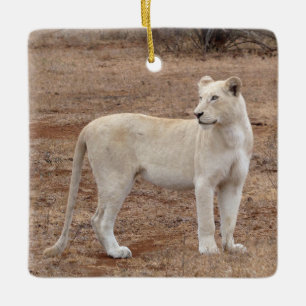 Zelden witte lioness keramisch Ornament