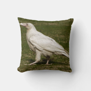 Zelden Witte Raven Wildlife Fotografie Kussen