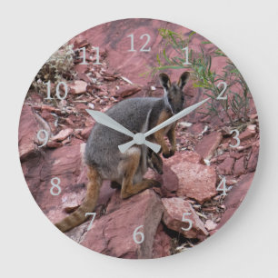 Zeldzame geelvoetige rotswallaby en baby Australië Grote Klok