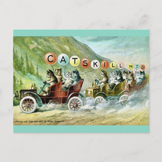 Zeldzame Katskill Mountain Cats Briefkaart (Voorkant)