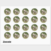 Zeldzame Kermode Spirit Beer, Wildlife Artwork Ronde Sticker (Vel)