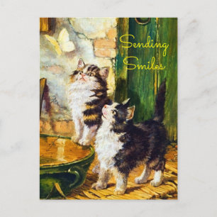 Zeldzame Nieuwsgierige Kittens Vlinder Stuur Gliml Briefkaart