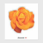Zeldzame, Oranje Roos Sticker (Vel)