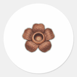 Zeldzame Rafflesia-bloemkunst - Exotische Indonesi Ronde Sticker
