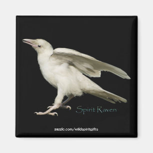 Zeldzame White Raven Photo Spirit Raven II-serie Magneet