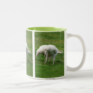 Zeldzame witte raaf wildlife foto tweekleurige koffiemok