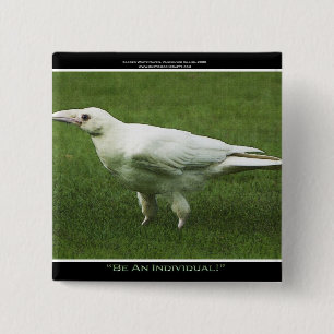 Zeldzame Witte Raven Motivatie Pin Vierkante Button 5,1 Cm