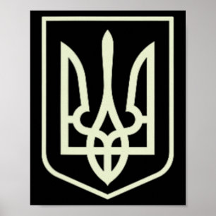 Zelenskyy Oekraïens Leger Shirt Oekraïne Militair  Poster
