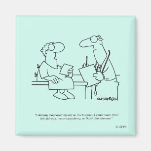 Zelfdiagnose Magneet