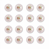 Zelfgemaakte aardbeienconserven 2 in 16 vel sticker (Voorkant)