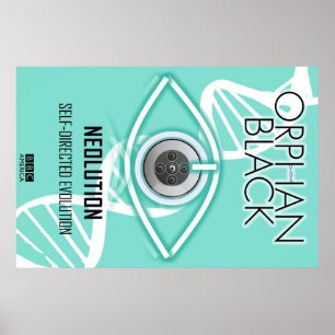 Zelfgerichte evolutie (Poster) Poster