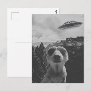 Zelfportret van stokstaartje in een berglandschap briefkaart