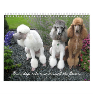 Zelfs honden hebben tijd nodig om de bloemen te ru kalender