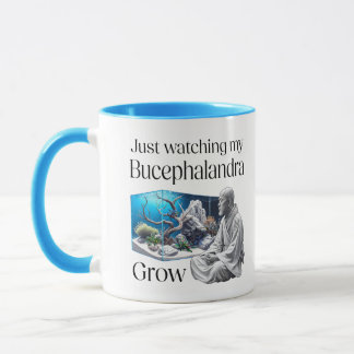 Zen and Bucephalandra – The Art of Aquascaping Mok