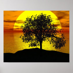 Zen Boom Zonsondergang Oranje Geel Oceaan Liefde V Poster