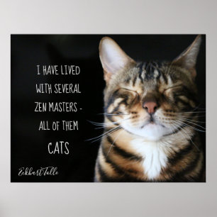 Zen Cat/Cat Quote Poster