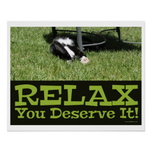Zen en een Cat Relax Slogan Perfect Poster