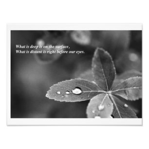 Zen en Taoïstische Meditatie Foto Afdruk