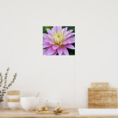 Zen Flower- Dahlia Poster (Keuken)