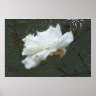 Zen Flower Poster