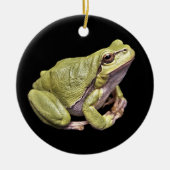 Zen Frog Bleek Green Treefrog Black Ornament (Voorkant)