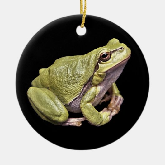 Zen Frog Bleek Green Treefrog Black Ornament (Voorkant)