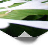 Zen Garden 1 met witte rand Andere Posters (Hoek)