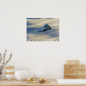 Zen Garden Poster (Keuken)