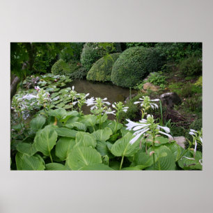 Zen Garden poster met witte randen