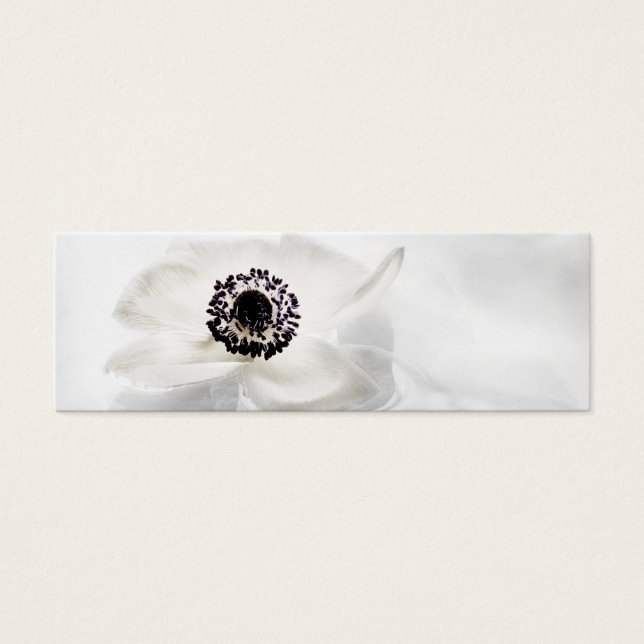 Zen High Key White Anemone sur Arrière - plan d'ea (Devant)