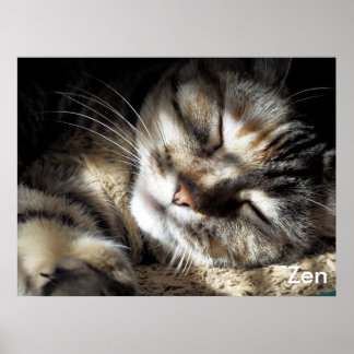 Zen Kat Poster
