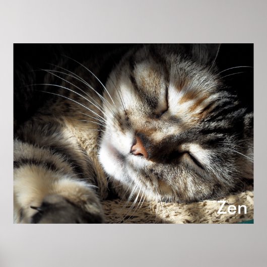 Zen Kat Poster (Voorkant)